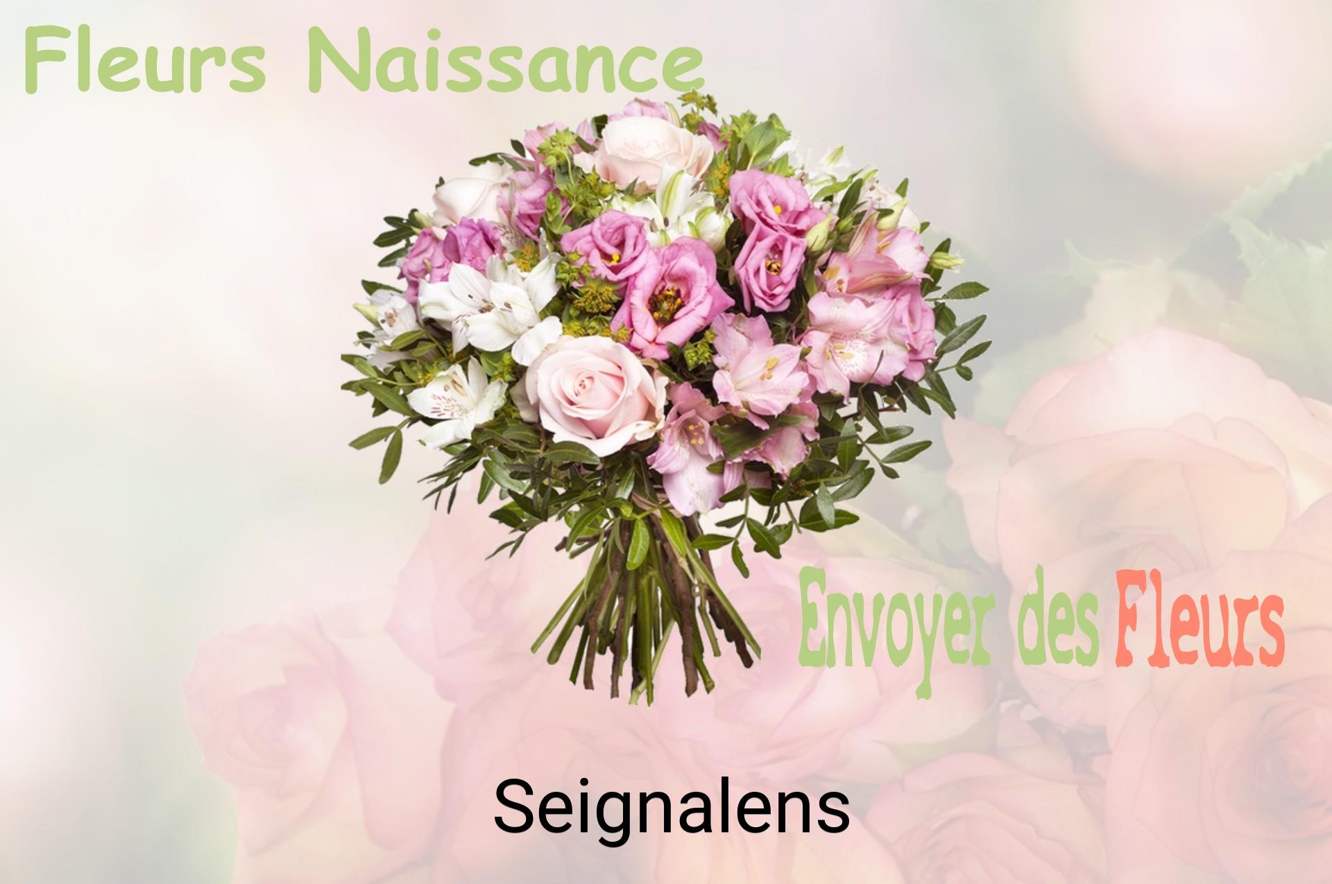Bouquet de fleurs de naissance livré à Seignalens