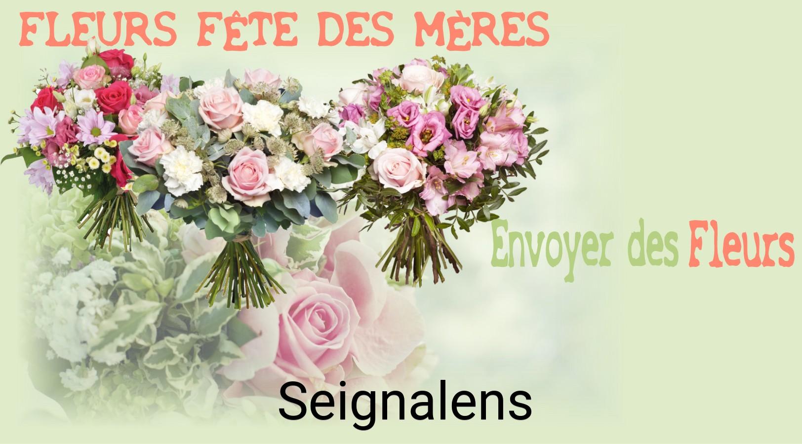 Bouquet de Fête des Mères livré à Seignalens